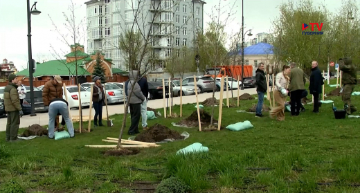 Аллею в честь деятелей театра заложили в Воронеже