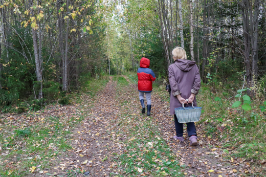 В Подмосковье начался грибной сезон