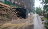 Сель завалил песком дорогу в воронежском Ямном