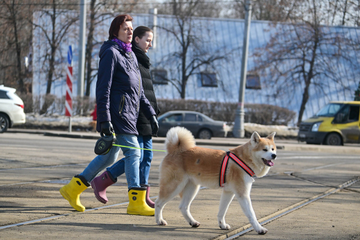 Синоптик Шувалов: Тепло в Москву вернется на выходных