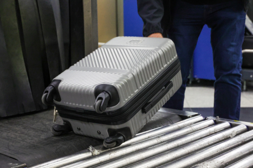 ФТС: В Шереметьево в багаже иностранца нашли 930 шкур хорька