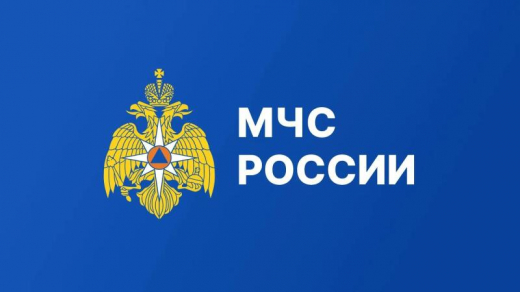 МЧС России разъясняет вопросы создания нештатных аварийно-спасательных формирований по борьбе с пожарами