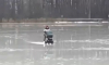 Катающаяся с детской коляской по тонкому льду женщина попала на видео в Балашихе