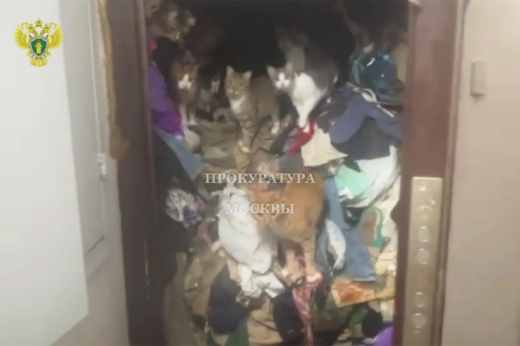 В Москве проверяющие прокуратуры вскрыли антисанитарную квартиру