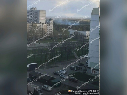 Ландшафтный пожар вспыхнул в Воронеже