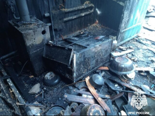 Забытая на плите сковорода с подсолнечным маслом привела к пожару в воронежском селе