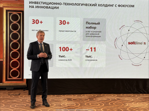 Softine по итогам 2025 г. достигла не всех планируемых финансовых показателей