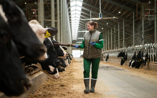 «ЭкоНива» нарастила выручку до 117 млрд рублей и увеличила EBITDA на 27% по итогам 2025 года