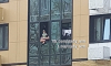 Полиция разыскивает женщину, свесившую малыша из окна высотки в Воронеже