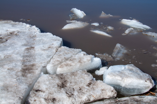 В Москве трое детей провалились под лед на Черном озере, девочку спасли с льдины