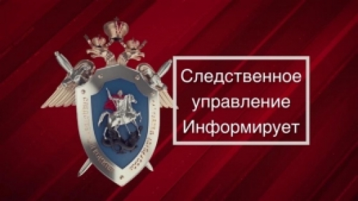 Следственное управление информирует граждан об ответственности за участие в организации незаконной миграции