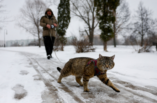 Леус: Рождество в Москве будет морозным и снежным