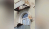 Балкон, на котором сидел кот, обрушился в Воронеже