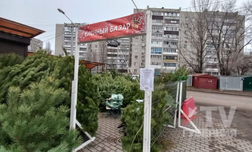 Стало известно, насколько выросли цены на новогодние ёлки на уличных базарах Воронежа