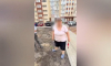 Будет ли отвечать горожанка за погром саженцев во дворе воронежского ЖК?