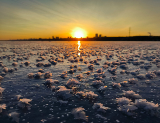 На воронежском водохранилище расцвели ледяные цветы