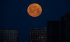 Москвичи могут не увидеть суперлуние в ночь с 5 на 6 ноября из-за облачности