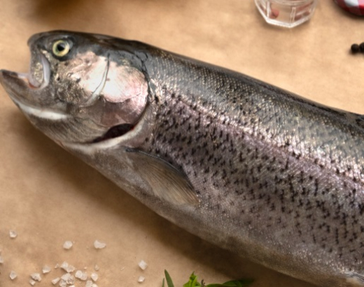 Воронежские учёные создали уникальный корм для ценных рыб