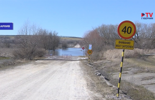 В четырех районах Воронежской области затопило дома и переправу
