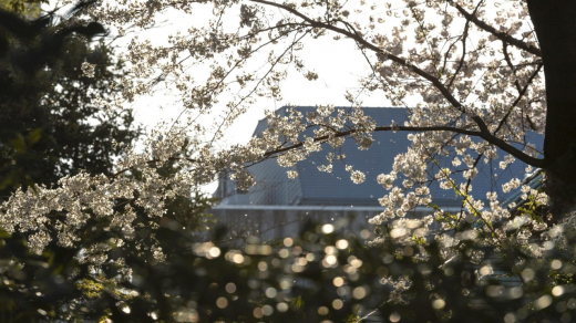 Прогноз погоды в Воронеже на среду, 1 апреля