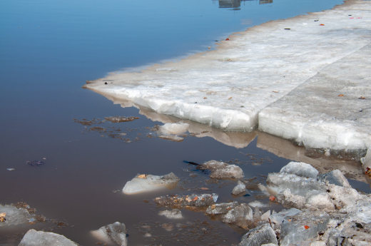 Синоптик Тишковец: В Москве ожидается активное весеннее половодье