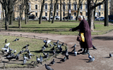 В Москве попросили перестать подкармливать птиц — с весны они сами находят пищу