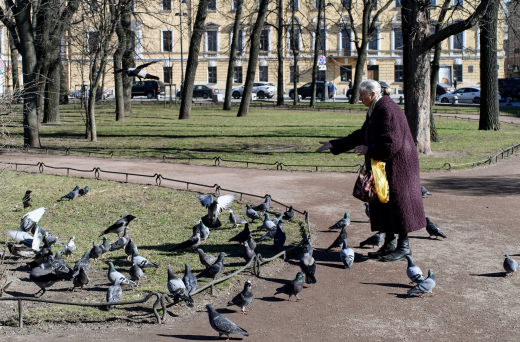 В Москве попросили перестать подкармливать птиц — с весны они сами находят пищу