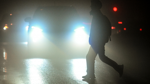 МЧС: в Подмосковье ожидается туман с видимостью 100-500 метров.