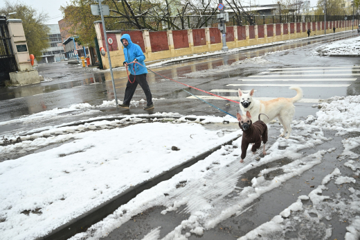 Макарова: Снегопад в апреле в Подмосковье не выходит за рамки климатической нормы