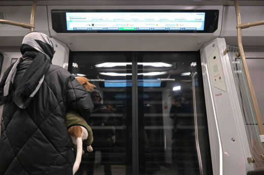 Кинолог Голубев: На собак в общественном транспорте следует надевать бахилы