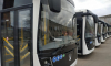 Более 40 новых автобусов получит дополнительно Воронежская область