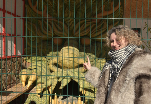 Древо мироздания и скала советов: кто создаёт необычные вольеры для питомцев воронежского зоопарка