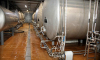 На фоне роста выручки тамбовский пивоваренный завод «Моршанский» провалился в убытки