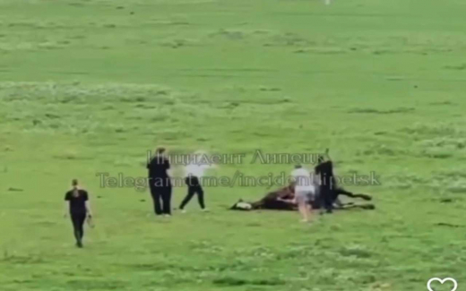 Помощь или жестокость: видео с липецкой «Кудыкиной горы» вызвало споры о допустимости методов спасения животных