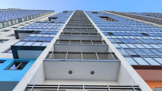 В Московской области 20 котов заперли свою 90-летнюю хозяйку на балконе