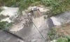 Гейзер из фекалий забил на левом берегу Воронежа