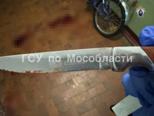 В Домодедово предъявлено обвинение мужчине в покушении на убийство знакомого