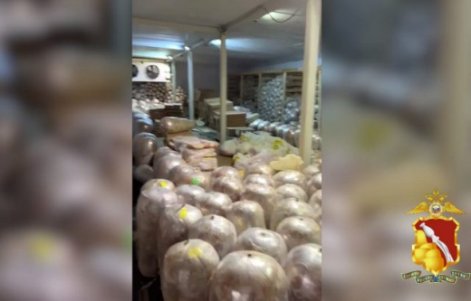 70 тонн просроченного мяса для шаурмы изъяли полицейские в Воронеже
