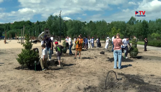 Новую аллею елей высадили у Воронежского водохранилища