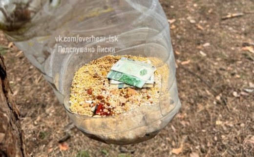Пачку денег обнаружили воронежцы в кормушке для птиц