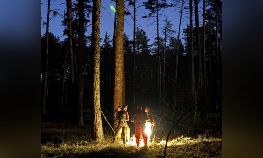 Пропавшего в Воронеже пенсионера волонтёры искали на кладбище и болоте