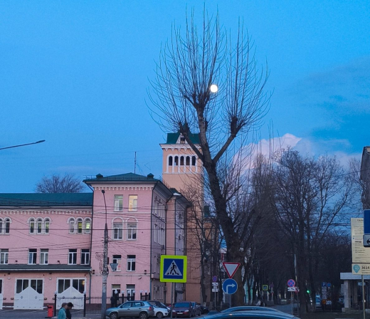 Прогноз погоды в Воронеже на субботу, 4 апреля