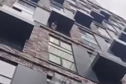 Из-за нервного срыва москвичка выбросила из окна 7 этажа собаку