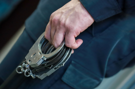 В Москве няня за месяц украла у работодателя почти два миллиона рублей