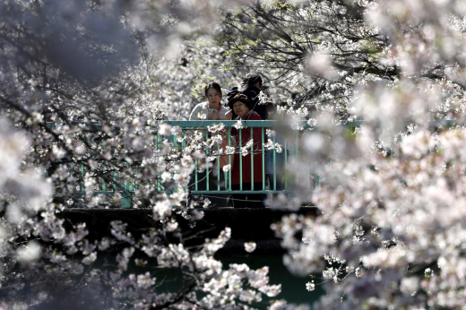 АТОР: Визовый центр Японии в Москве ужесточил проверку документов