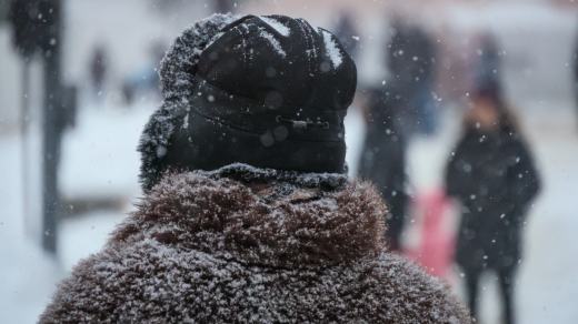 Синоптик Паршина: ночные морозы придут в Москву на следующей неделе