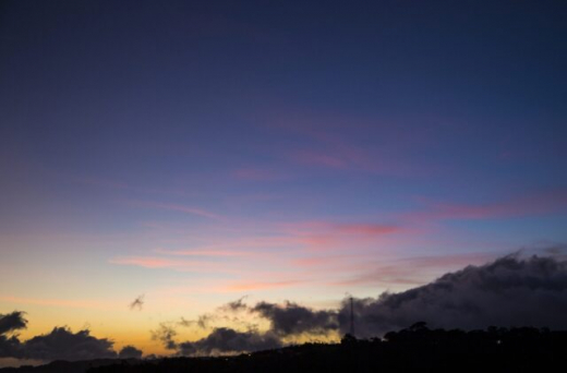 Четыре беспилотника уничтожили в Воронежской области