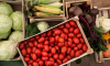 Группа воронежцев придумала мошенническую схему, чтобы воровать продукты в соцучреждении