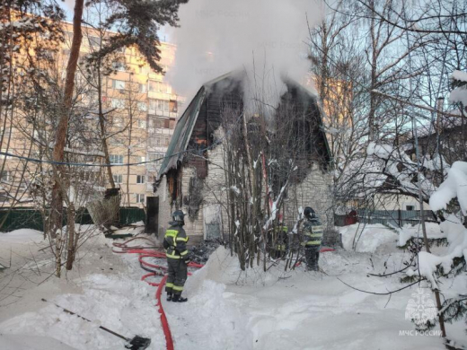 Кот и пожарный извещатель спасли многодетную семью от пожара