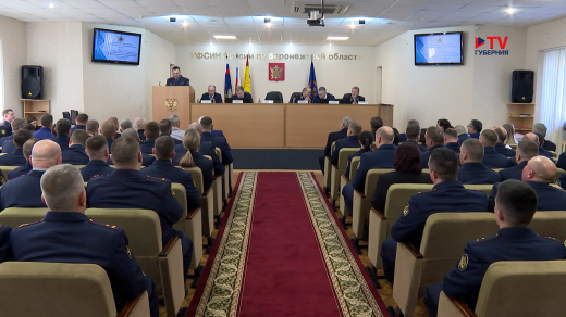 Стало известно, какой вклад вносят воронежские исправительные учреждения в экономику региона